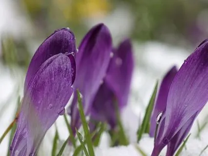 Letting Attraction Mature