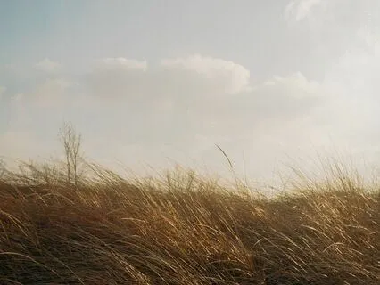 Allowing - Prenatal Meditation