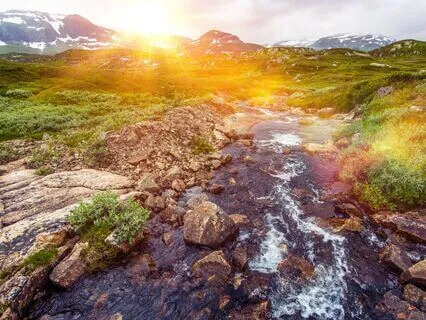 Allowing Realization: Clarity with Tuning Forks & Windchimes