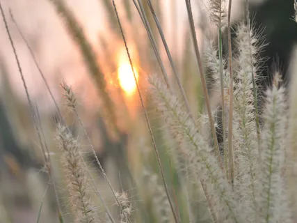 Allowing Self-Belief