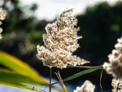 Allowing Space For Breathing More Deeply