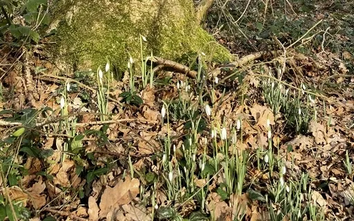 Allowing Space For Pain