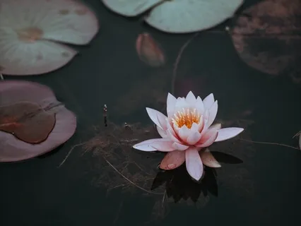 Allowing The Alchemy Of Fear To Help Fill Us With Strength