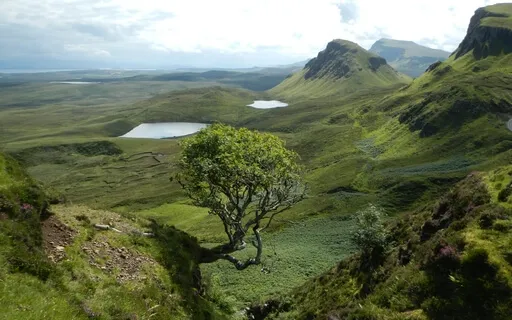 Allowing The Problem Solving To Rest - Meditation 42