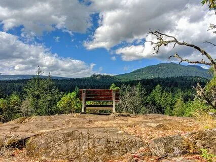 Allowing Vs Resisting - A  Self-Reflective Practice