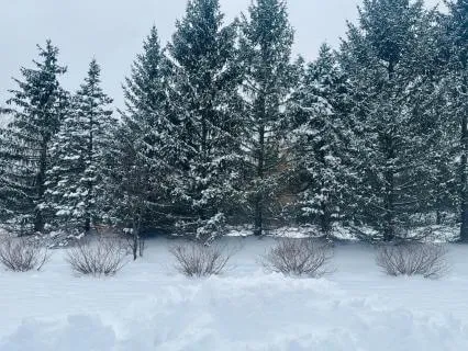 Allowing Yourself To Feel All Your Feels!