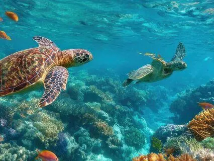 Allowing Yourself To Receive