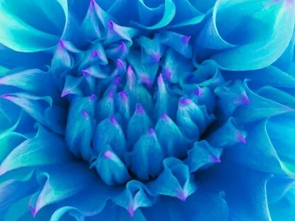 Allure From Within: Affirmations For Irresistible Presence