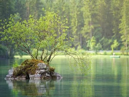 Almost 7 Hours Of Popular "Inspired By Nature Piano Music"
