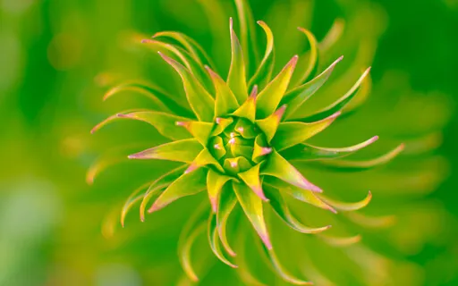 Alone In Me, Together In Me