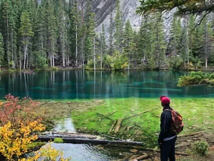 Alone With The Company You Keep 