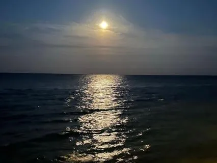 Along The Sleeping Coast