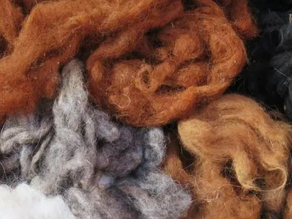 Alpaca Spirit: A Gentle Return To Peace