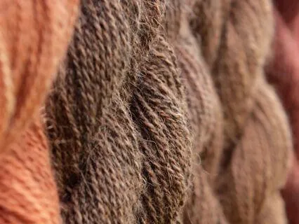 Alpaca Spirit: Embracing Gentle Strength