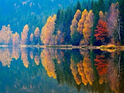 Alpha Binaural 11Hz (Extroversion)