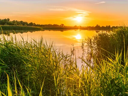 Alpha Binaural Beat - Positivity & Relaxation