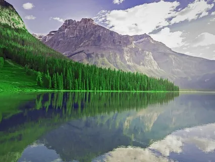 Alpha Dream - Relieving Stress, Maintain Positivity & Focus