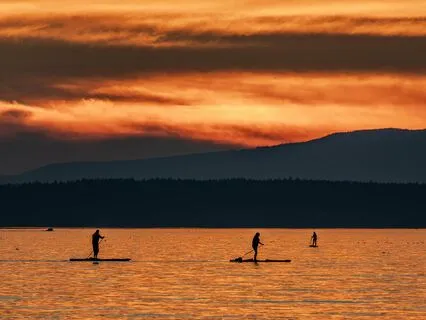 Alpha Wave Binaural Beats | Transcendental Mind (Sound Tool)