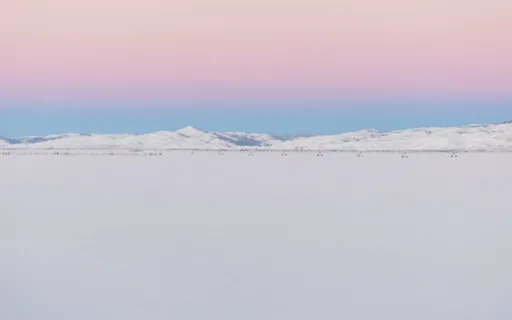 Alpine Tundra Letting Go