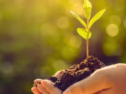 Already A Part Of It