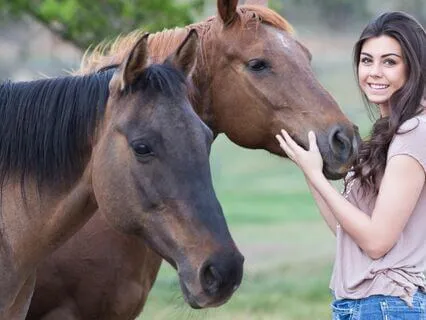 Already Awesome: How Horses Guided Me To The 3 Principles