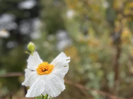 Already On Your Way: Surrender And Receive In Awareness