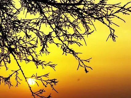 Altered State | Shamanic Drumming Journey | Tribal Ambient