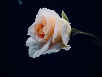 Alternate Nostril Breathing & Crystal Bowl Sound Bath