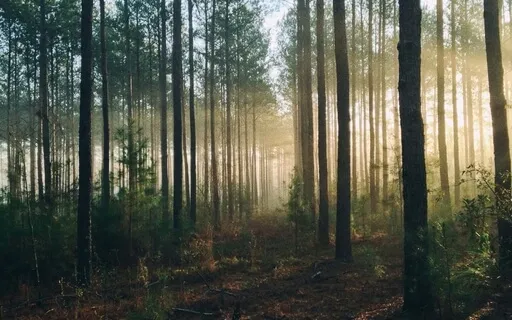 Alternate Nostril Breathing For Calm - Meditation