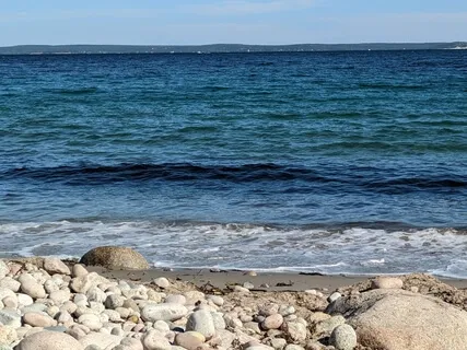 Alternate Nostril Breathing - Nadi Shodhana Pranayama