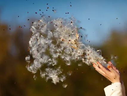 Alternate Nostril Breathing To Ground Anxiety