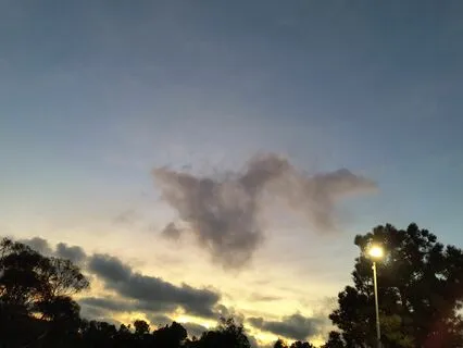 Alternate Nostril Breathing