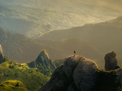 Alternating Nostril Breathing Exercise