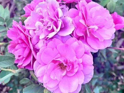 Alternative Relationships Affirmations