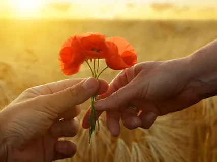 Altruism: Acts Of Kindness 