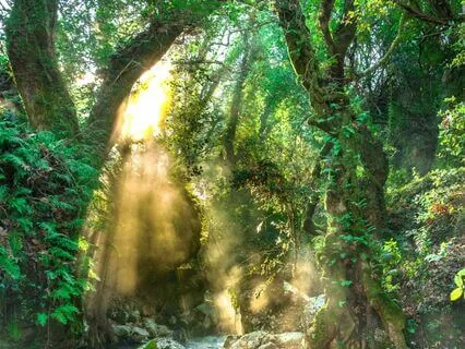 ALUNA & Ceibo - Pachamama (147 Hz Solfeggio Sound Healing)