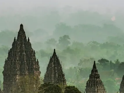 Aluna & Ceibo - Temple