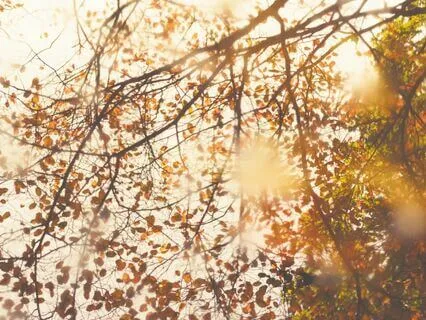 Always Be There Piano