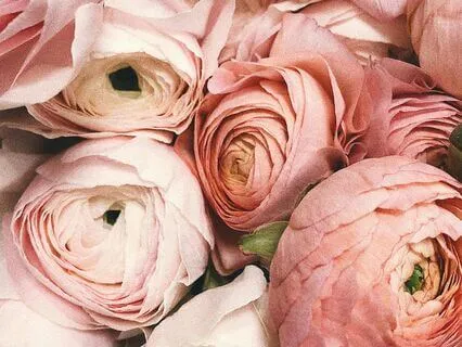 Always Here With You | The Calm Sleep Lofi Beats Collection