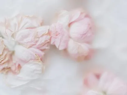 Always In My Heart | Calming LoFi Jazz Piano Beats