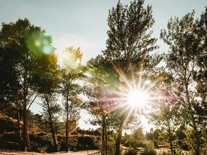 Always Protected, Always Connected