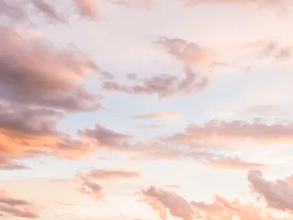 AM Alignment & Visualization