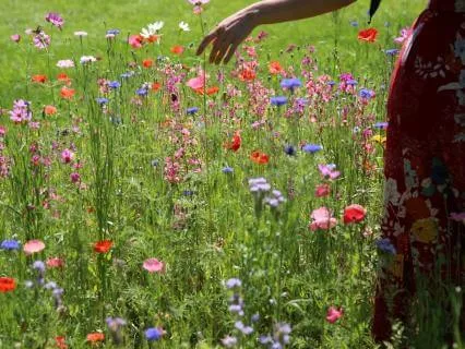 AM Feminine Alignment Prayer | Create Through The Feminine