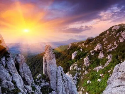 Am I Dumb For Experiencing Narcissistic Traps & Toxicity