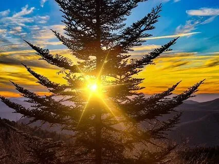 Am I Meditating Effectively?