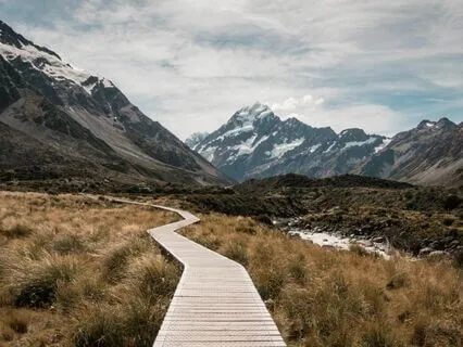 Am I On The Right Path? A Collective, Timeless Tarot Reading