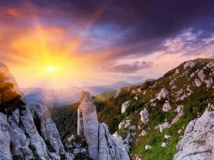 Am I Really What I Eat