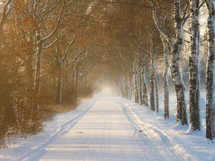 AM - Shift Your Mindset