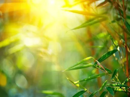 Amazing Day Ahead: Morning Visualization | Meditation