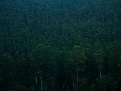 Amazing Healing Sound For Deep Sleep & Relaxing Meditation